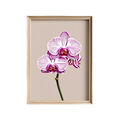 pink flower frame