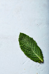 Single fresh mint leaf on textured light blue surface