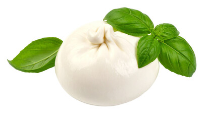 Fresh burrata cheese with basil leaves isolated on transparent background