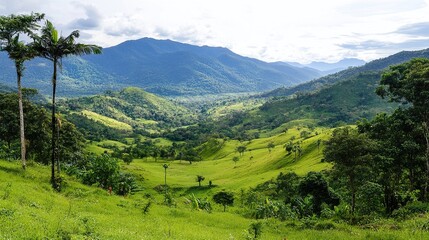 mountain landscape in the mountains