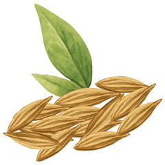 Realistic illustration of oats grains and green leaves for agricultural and culinary use
