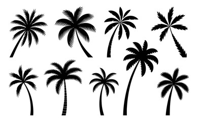 Palm Trees Silhouette Vector Set in Diverse Shapes and Styles, Tropical Beach and Summer Design Elements, Isolated on White Background