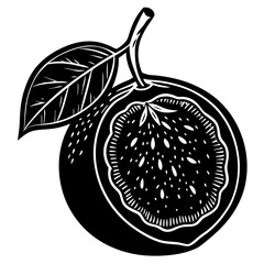 vector illustration of a ripe fig