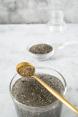 Chia Seeds Dry and Soaked in Water Showing Natural Gel Formation and Nutritional Benefits