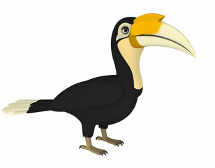 Obraz premium hornbill animated cartoon character. Toucan bird vector illustration