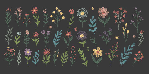 Hand-Drawn Set of Various Colorful Floral and Leaf Illustrations