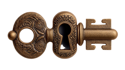 Key to Unlock the Secrets: A close-up captures an antique key, adorned with ornate details, appearing as if it holds the power to unlock mysteries and reveal hidden truths.