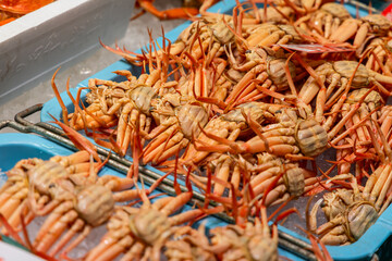 Small crabs arranged belly up on ice in blue trays at a Japanese seafood market, prepared for retail sale in bulk quantity