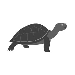 Monochrome Illustration of a Walking Tortoise

