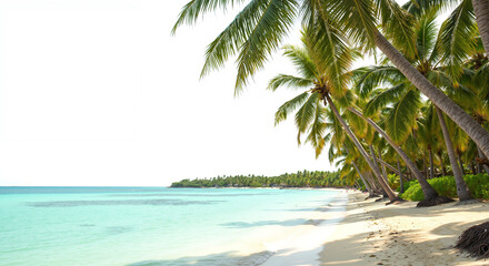 Tropical beach with palm trees and calm turquoise water  