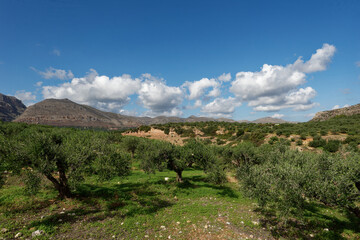Kreta - Zakros - Hochebene Mavros Kampos