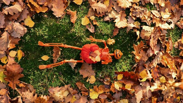 Halloween holiday background. Orange skeleton on green moss. 4k footage