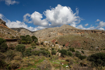 Kreta - Zakros - Hochebene Mavros Kampos