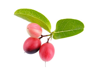 Pile of Karonda Fruit, Carissa carandas L. Karanda; Carunda isolated on a transparent background