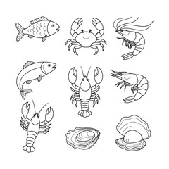 Collection of Seafood Line Drawings Fish, Crab, Shrimp, Lobster, Oyster Illustrations