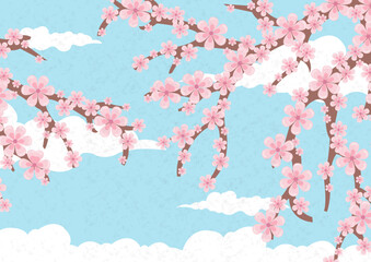 Fiori di primavera © MirMar