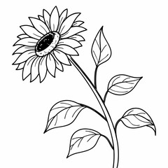 black and white flower isolated