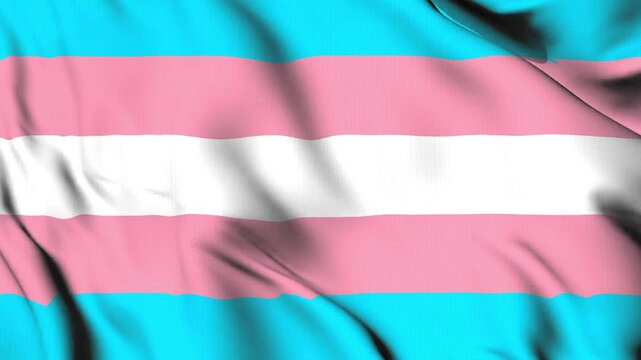 The transgender flag waves in the wind.