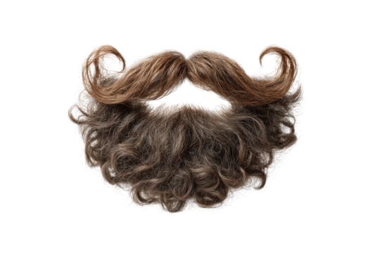 PNG Curly brown beard and twisted mustache on black background