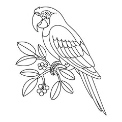 Obraz premium Spixs Macaw Coloring Page, Silhouette, Vector, Illustration, Outline, Logo, White Background.