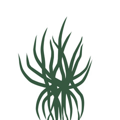 A Doodle of dark green, upward-reaching plant leaves or grass