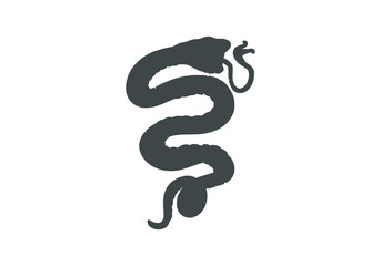 black and white snake