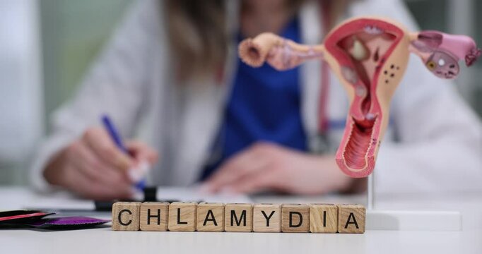 Word Chlamydia on wooden blocks with human uterus model against gynecologist. Woman dentist makes notes on infection of female reproductive system