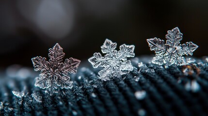 Three snowflakes on dark surface, winter macro shot, bokeh background, nature photography