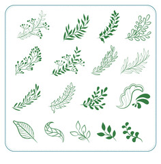Hand drawn cute doodles flower, leaf  on white background