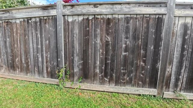 A wooden fence and grass