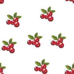 Seamless repeating cranberry clusters with leaves on white background, suitable for clean product packaging, fabrics, or decor.