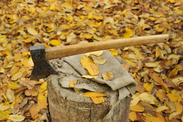 Axe on a log. Photo of firewood preparation for the winter. Autumn photo with an axe and a tree.

