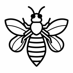 Vector illustration of a bee, a flying insect, isolated on a white background with detailed wings