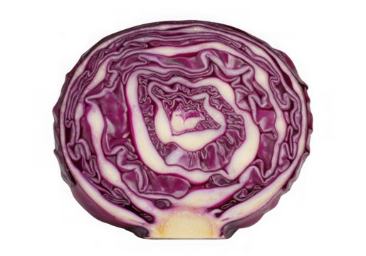 Red cabbage cross section isolated on transparent background
