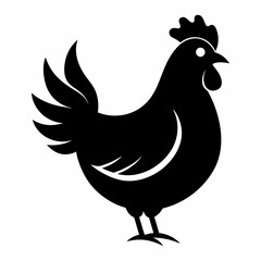 Rooster isolated on white, its black silhouette a perfect vector illustration of this farm bird
