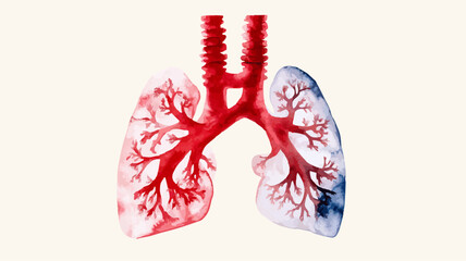 Watercolor Lungs with Red Trachea and Bronchial Tree, One Lung with Blue Tint