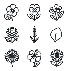 Edible Flowers Icons. Outline icon set of edible flowers garnish: nasturtium, pansy, violets, marigold, lavender, rose petal,