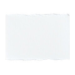 Obraz premium A torn piece of white paper with a textured edge