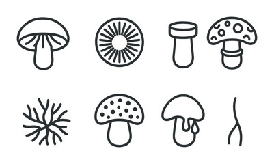 Set of unique minimalist mushrooms and fungi icons for graphic design