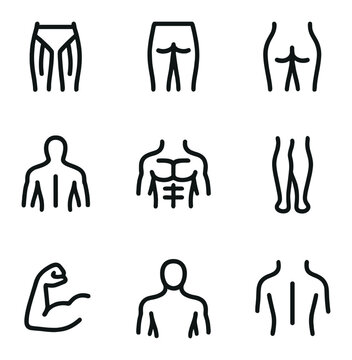 Muscle Group Icons. Outline icon set of muscle groups targeted: quadriceps, hamstrings, glutes, lats, core, calves, forearms,