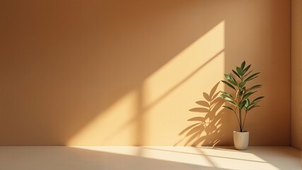 Minimalist Interior with Sunlight and Plant