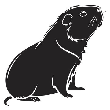 black guinea pig looking up clip art preview