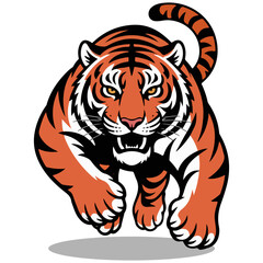 tiger on white background