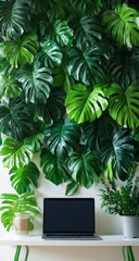 A wall with monstera plants and potted greenery, a laptop on a shelf in the foreground, and a white background