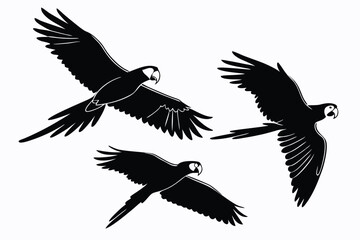 Black silhouette of macaws in flight exotic parrot vector graphic