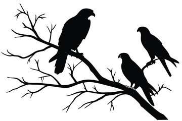 Black silhouetted birds of prey perched on bare tree branches illustration