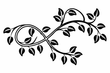 black and white flower