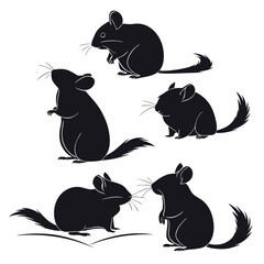 Chinchilla silhouette collection cute pet rodents isolated on white background