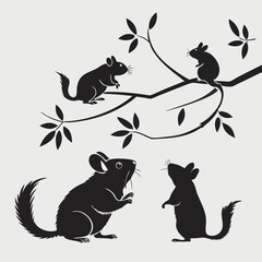 Chinchilla silhouette set on branch vector illustration for graphic design projects