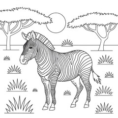 beautiful Is a zebra animal